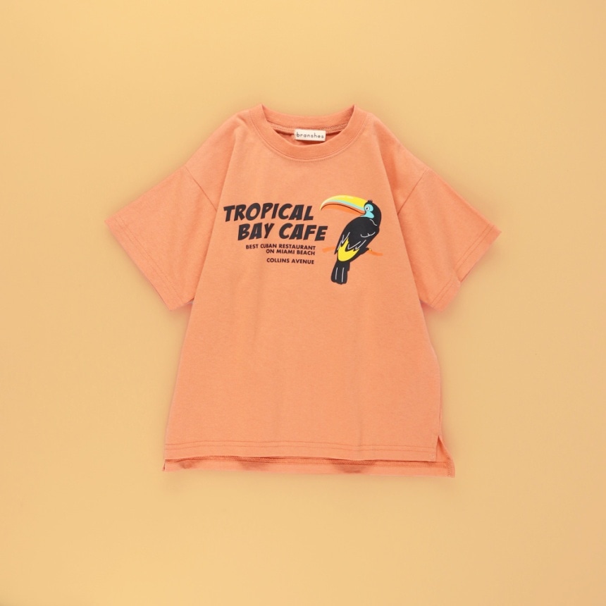 ライトオレンジ