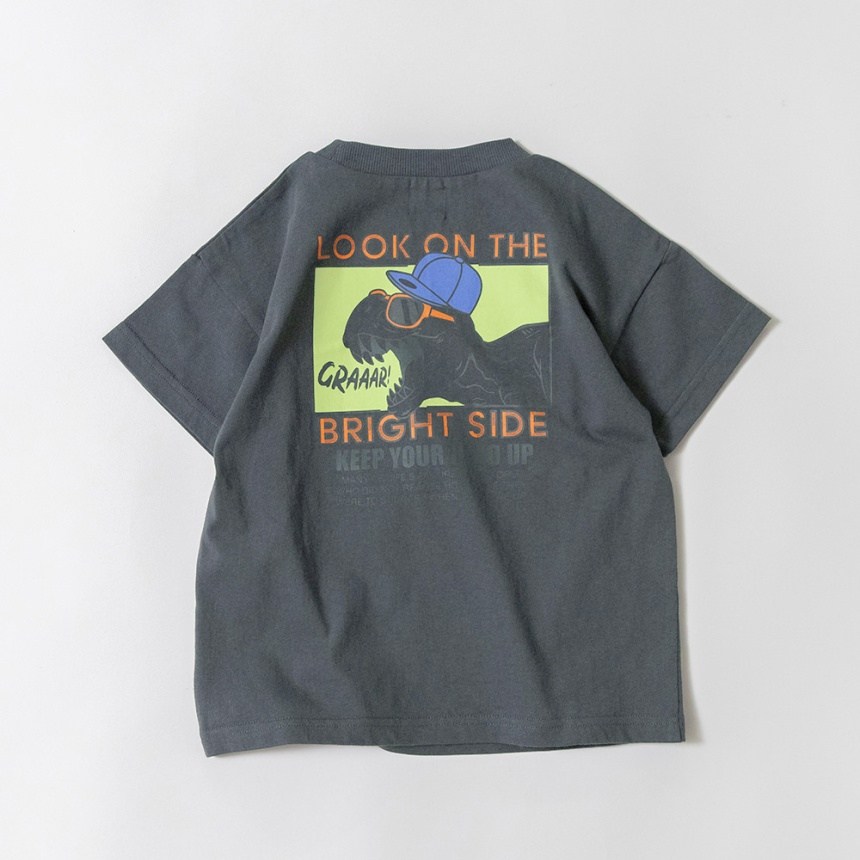 78:チャコールGY_恐竜