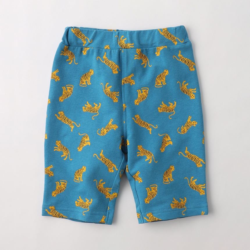 91:ターコイズB_トラ