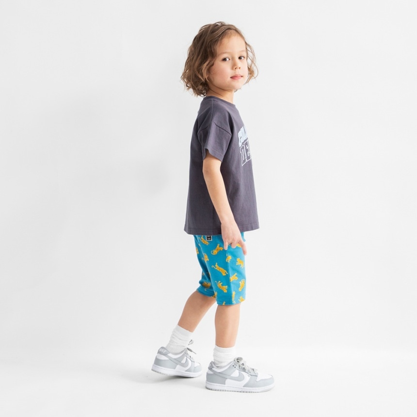 91:ターコイズB_トラ