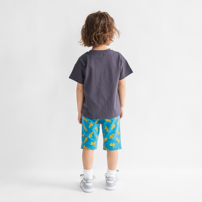 91:ターコイズB_トラ