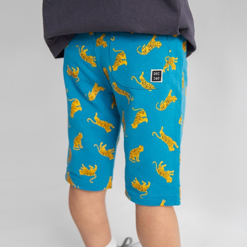 91:ターコイズB_トラ