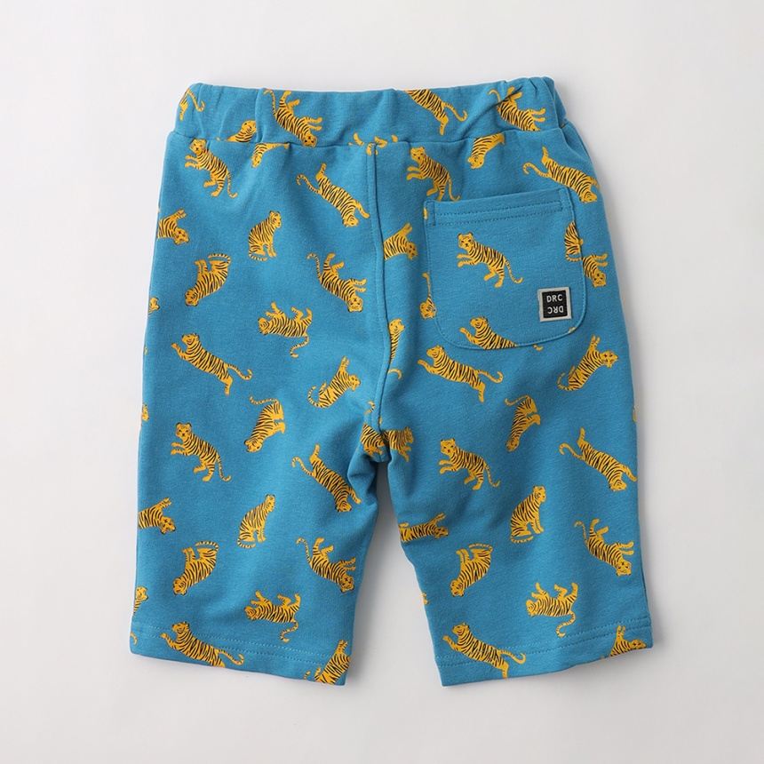 91:ターコイズB_トラ