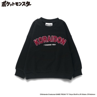 85:コライドン
