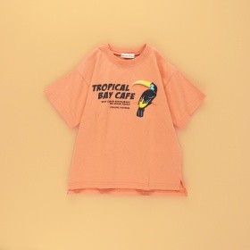 ライトオレンジ