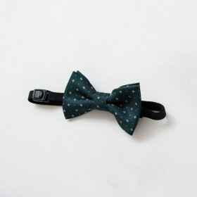 ダークグリーン