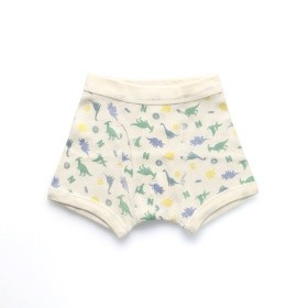 恐竜柄ボクサーパンツ