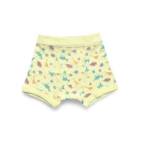 恐竜柄ボクサーパンツ