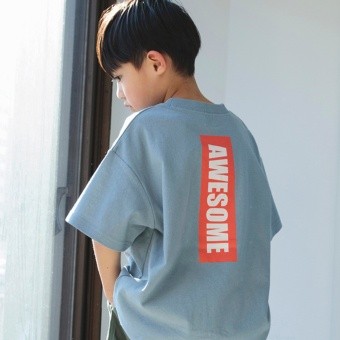 【WEB限定/DRC/お肌に嬉しい綿100％】アソートグラフィック半袖BIGTシャツ