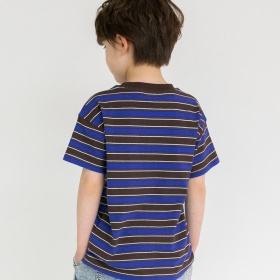 【WEB限定/DRC/綿100％】マルチボーダー半袖Tシャツ