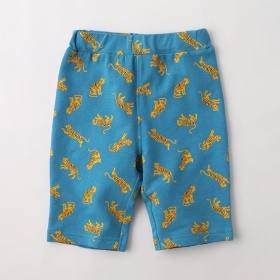 91:ターコイズB_トラ