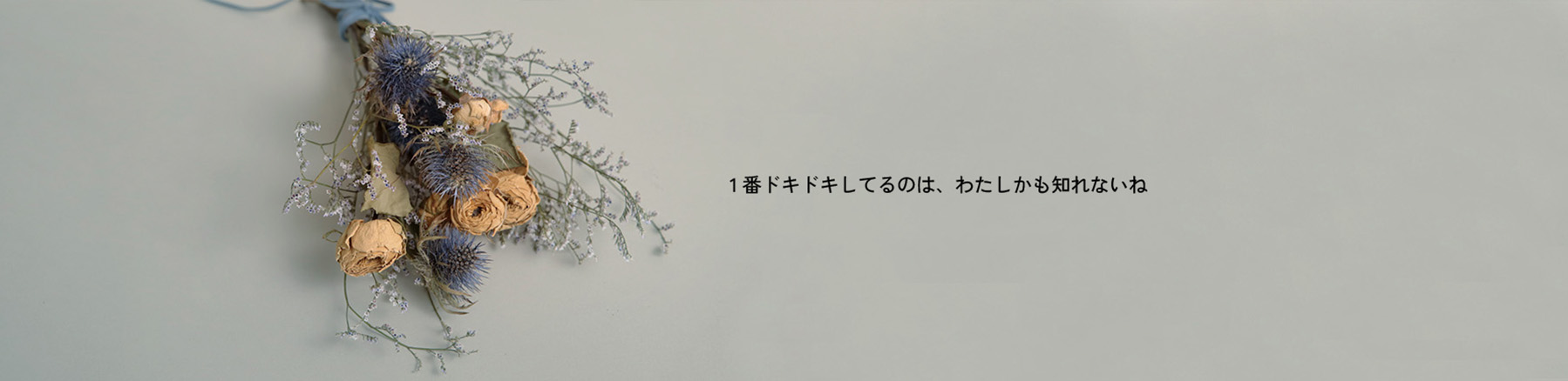 1番ドキドキしてるのは、わたしかも知れないね