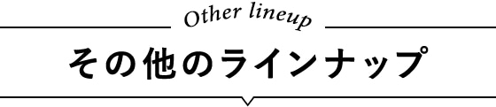 その他のラインナップ